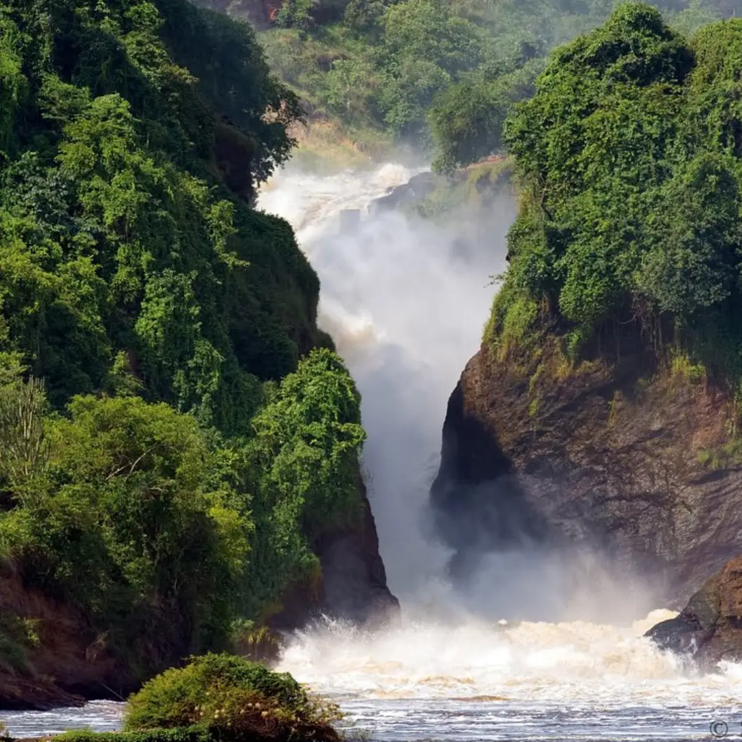 murchison-falls-national-park4