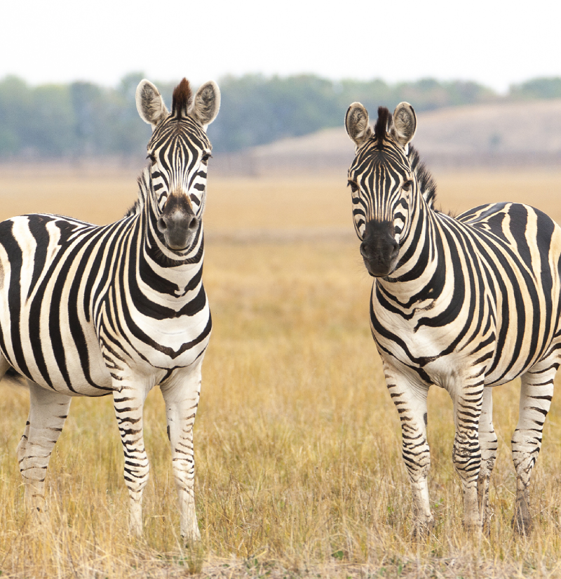 tanzania-destinations-2