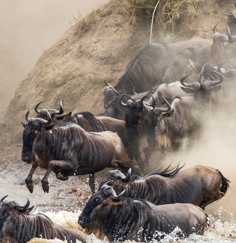 tanzania-destinations-3 (1)