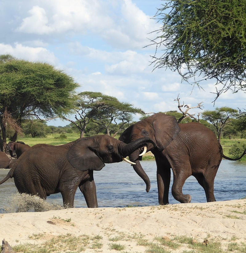 tanzania-destinations-4