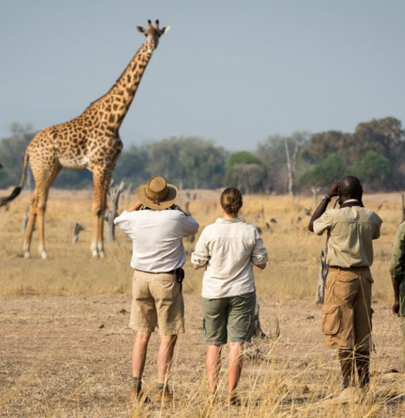 tarangire-national-park-2
