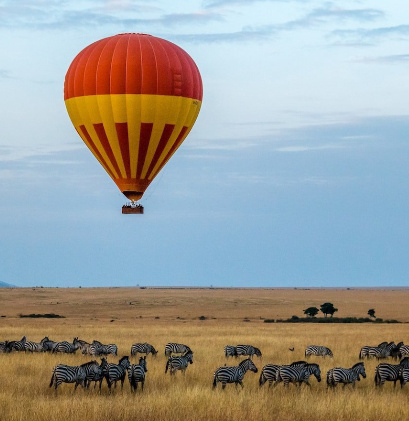 tarangire-national-park-3