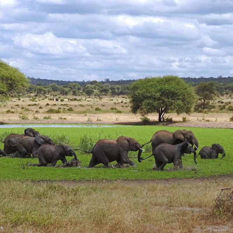 Stag & Hen Parties