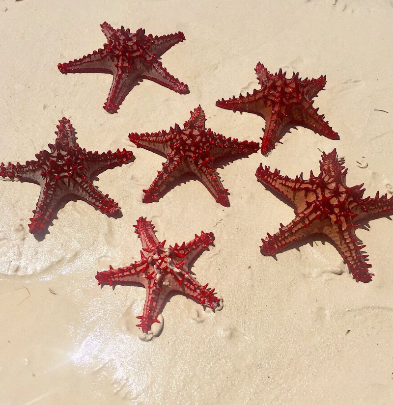 uroa-beach-4