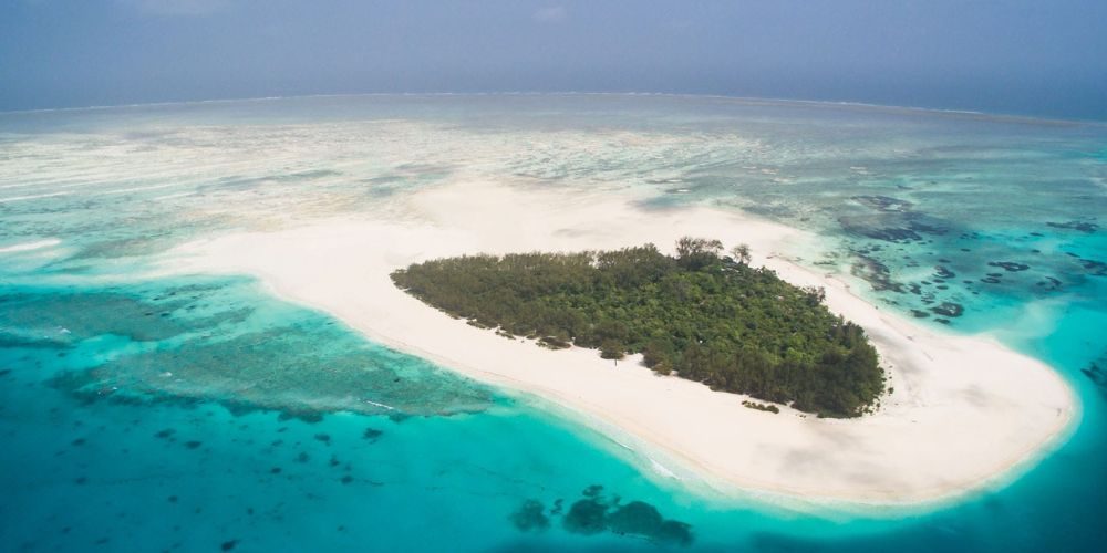 SNORKELLING & DIVING IN ZANZIBAR-1