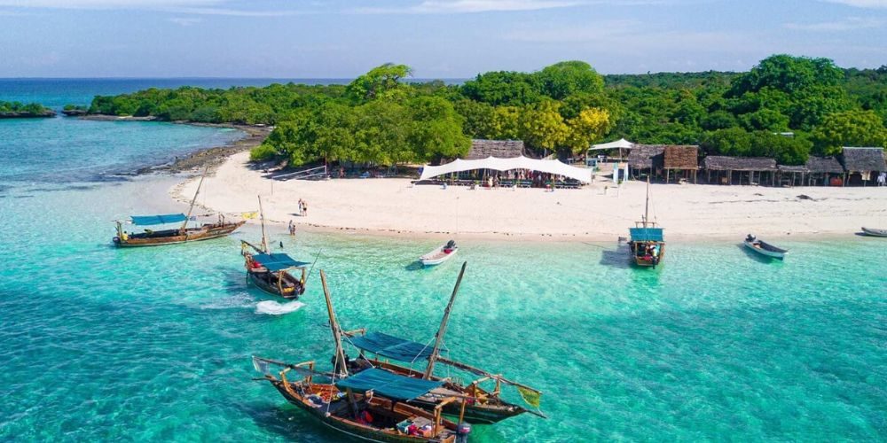 SNORKELLING & DIVING IN ZANZIBAR-2