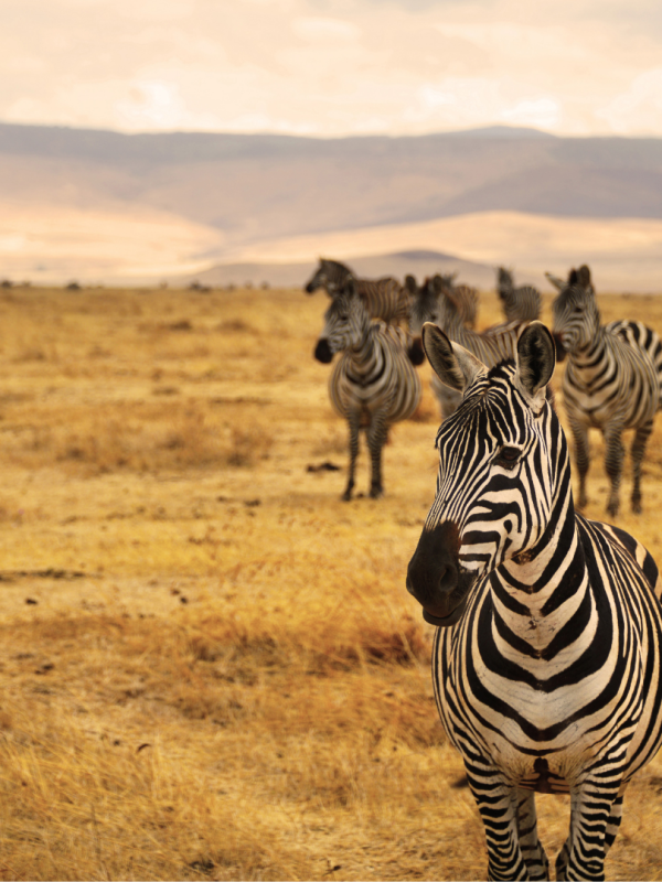 Uganda Destinations5 Uganda Destinations5