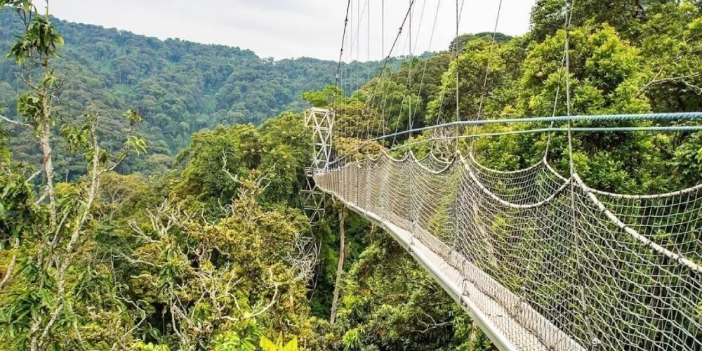 rwanda-safari-cost-1 rwanda-safari-cost-1