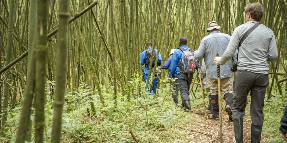 rwanda-safari-cost-4 rwanda-safari-cost-4