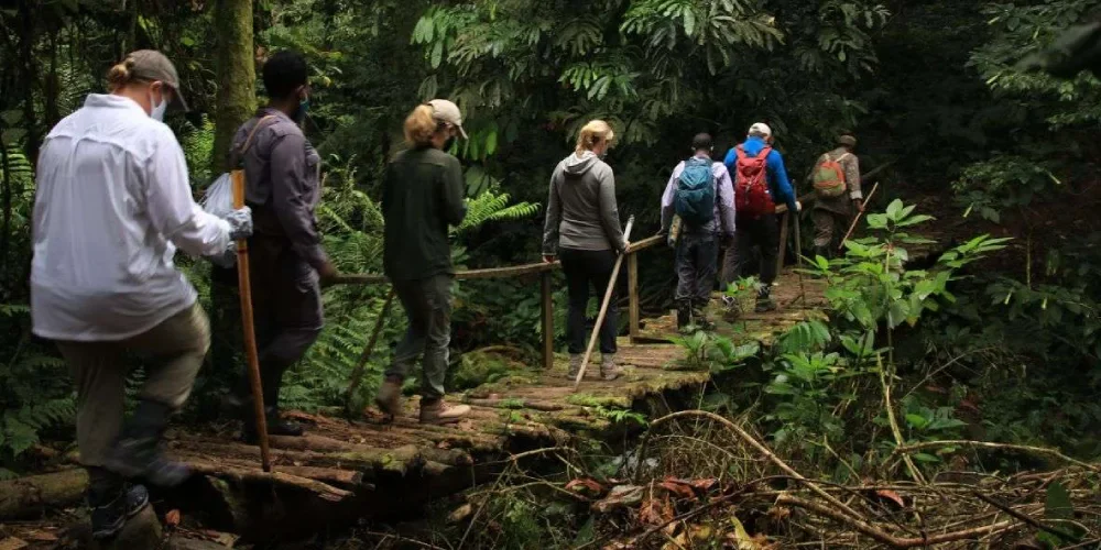 rwanda-safari-cost-6 rwanda-safari-cost-6