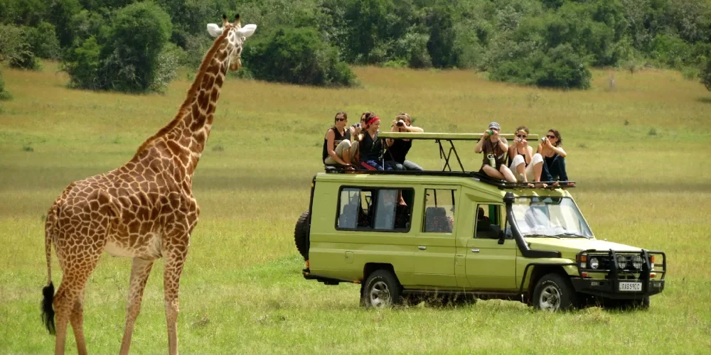 tanzania-safari-cost-1 tanzania-safari-cost-1