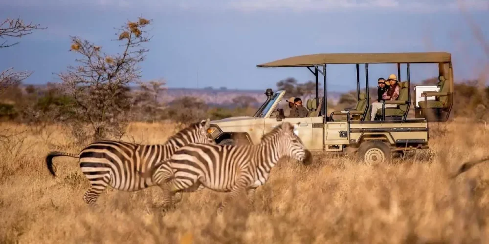 tanzania-safari-cost-5 tanzania-safari-cost-5