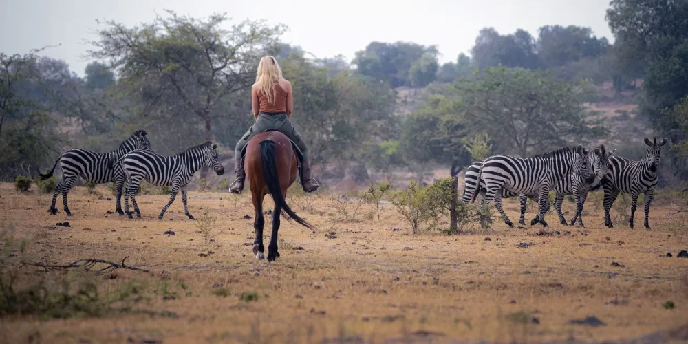 uganda-safari-cost-7 uganda-safari-cost-7