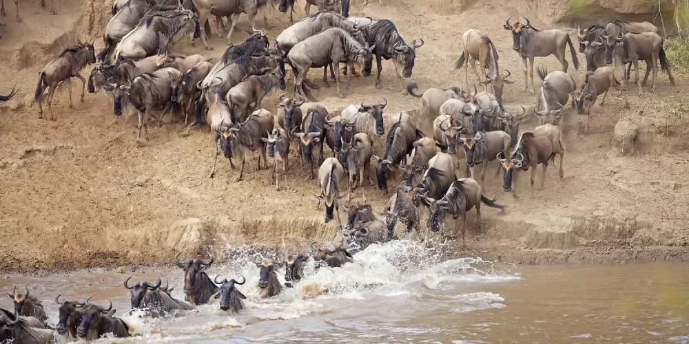 what-to-see-and-do-in-tanzania-2 what-to-see-and-do-in-tanzania-2