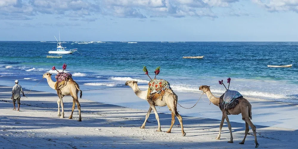 when-to-visit-kenya-6