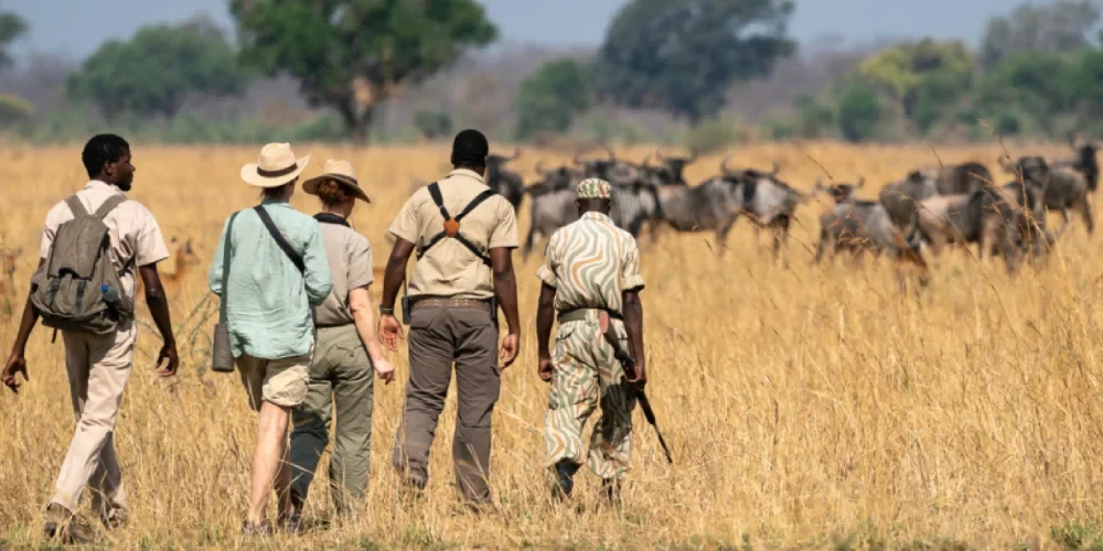 when-to-visit-tanzania-2