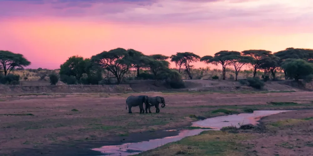 when-to-visit-tanzania-3
