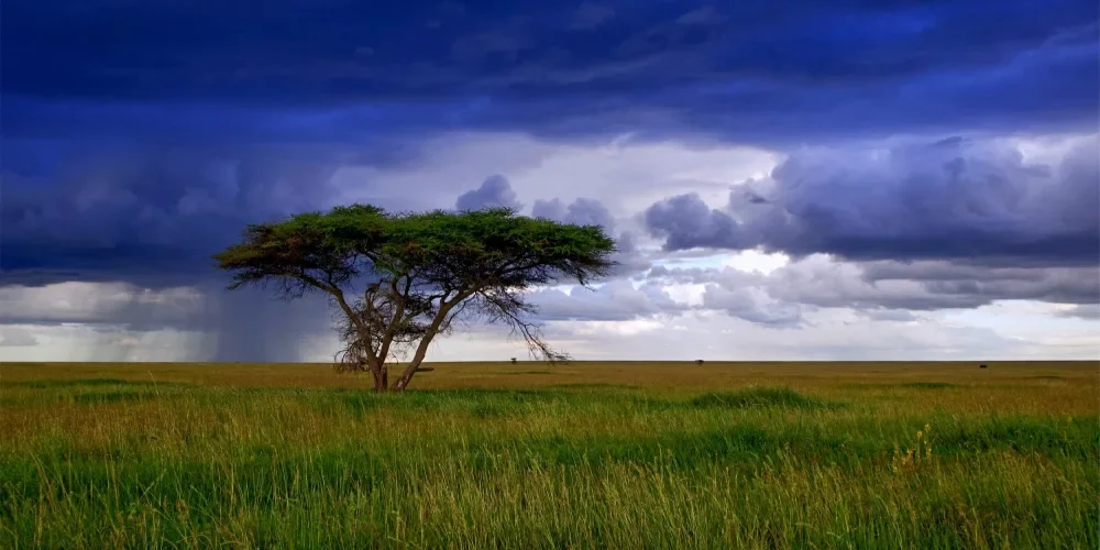 when-to-visit-tanzania-4